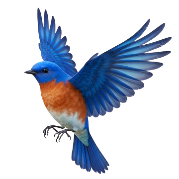 NYC Porta Potty Rentals in Manhattan