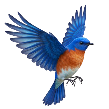 Portable Toilet Rentals in New York, New York